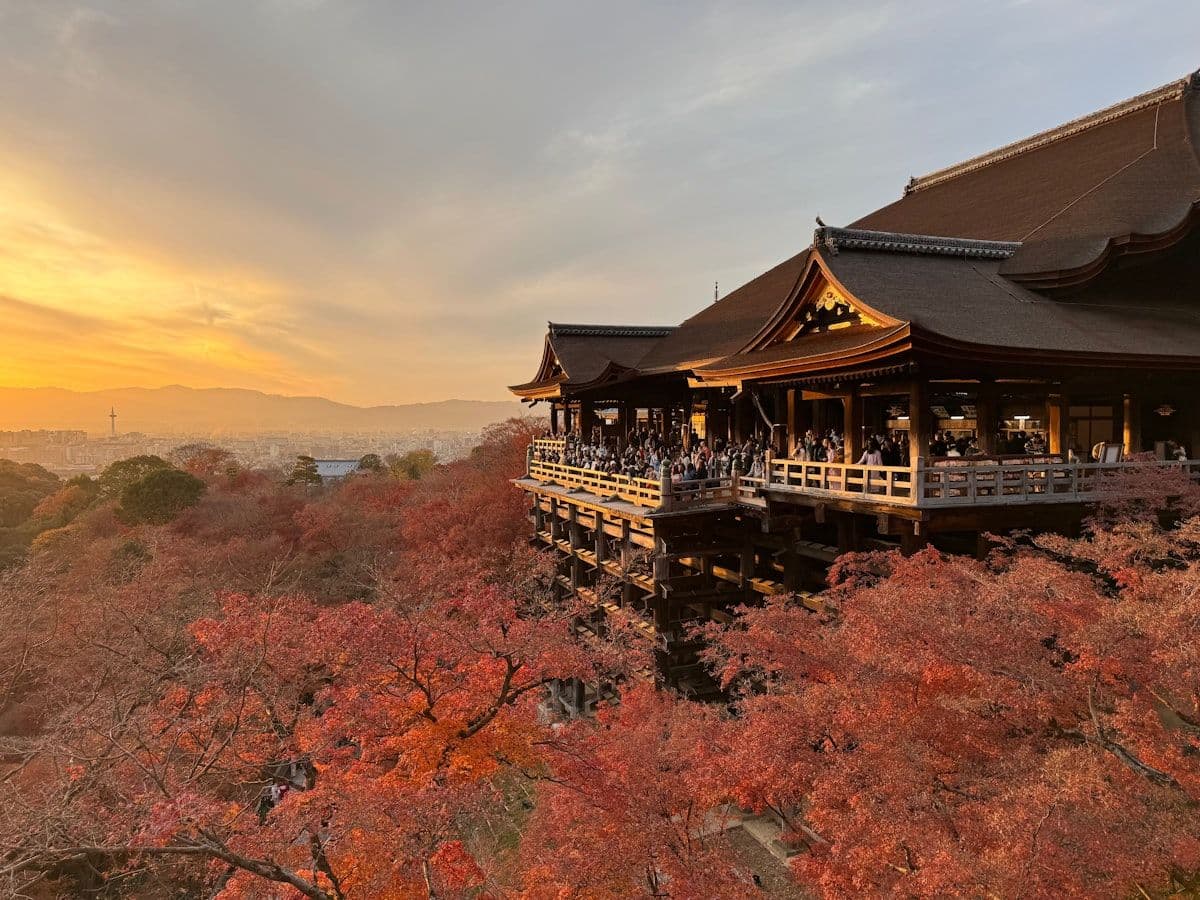 Tohoku Autumn Leaves: The Complete Koyo Guide