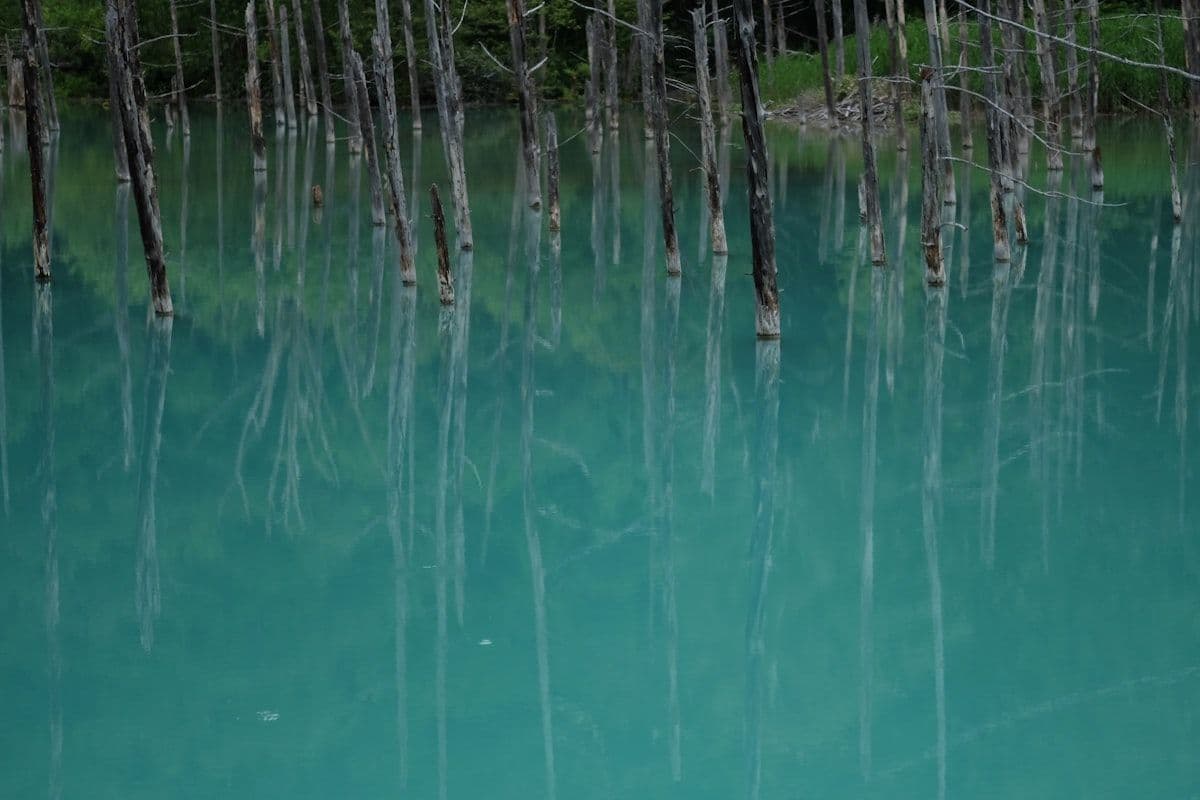 Lake Towada and the Oirase Valley: A Two-Day Nature Itinerary for Aomori