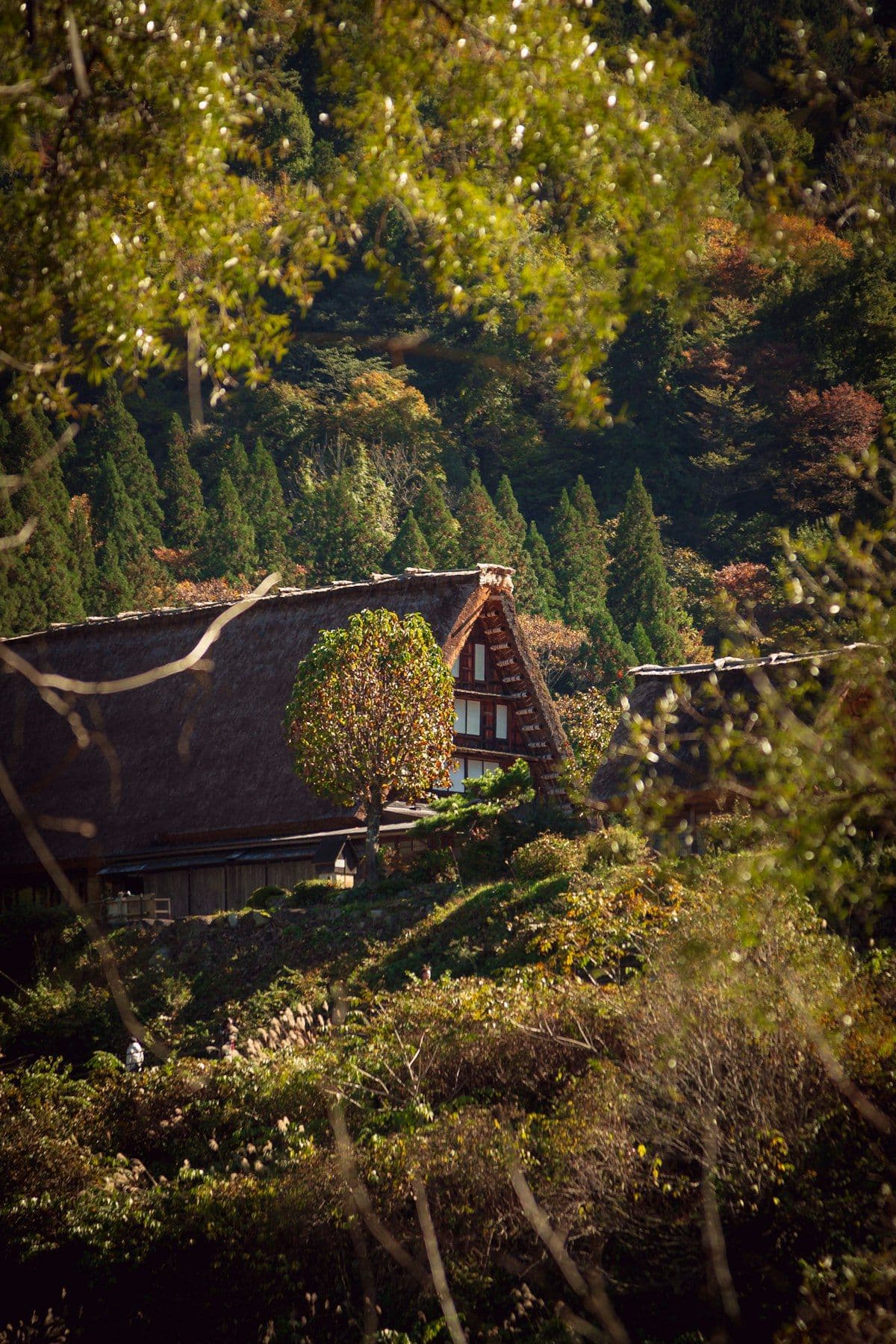 Ouchi-juku: The Thatched Post Town of the Aizu Mountains