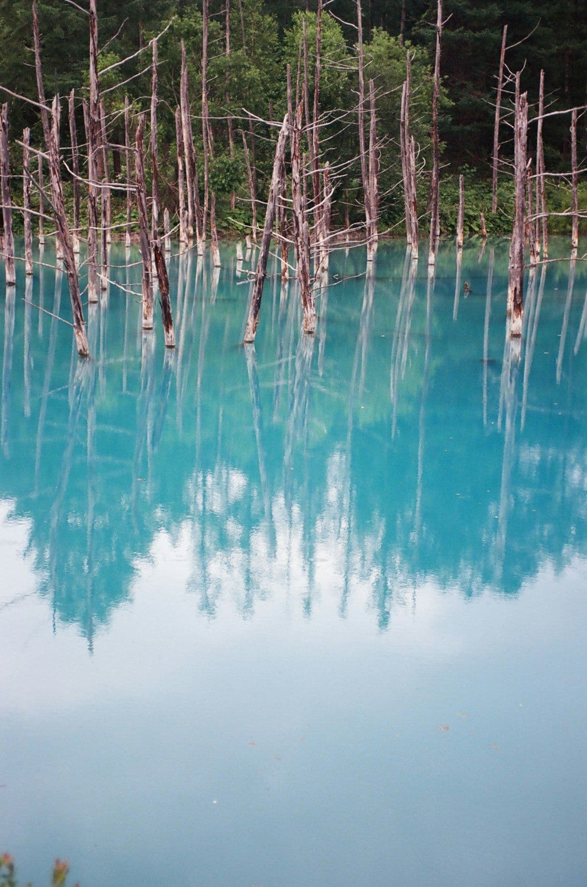 Lake Tazawa: Japan's Deepest Lake and the Akita Highlands