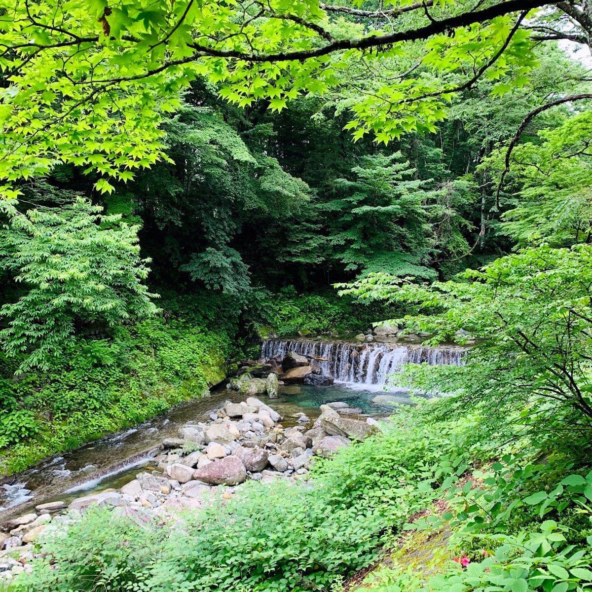 Ryusendo: The Dragon-Blue Underground Lakes of Iwate