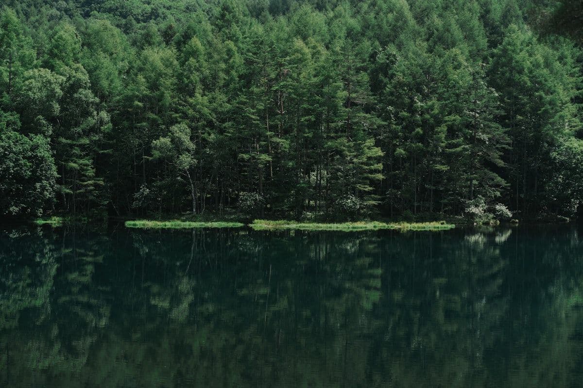 Aomori Travel Guide: Japan's Northernmost Honshu Frontier